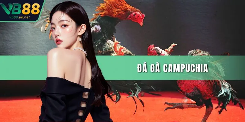 Đá gà Campuchia