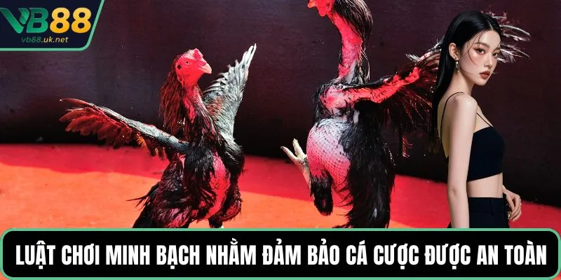 Luật chơi minh bạch nhằm đảm bảo cá cược được an toàn